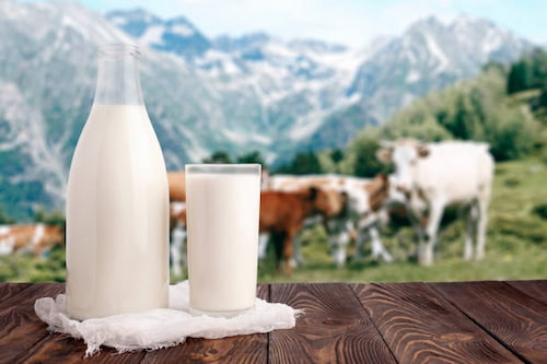 خرید و قیمت دوغ طبیعی + فروش عمده